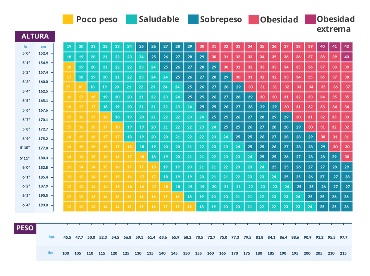 Calculo De Imc En Hombres - Printable Templates Free